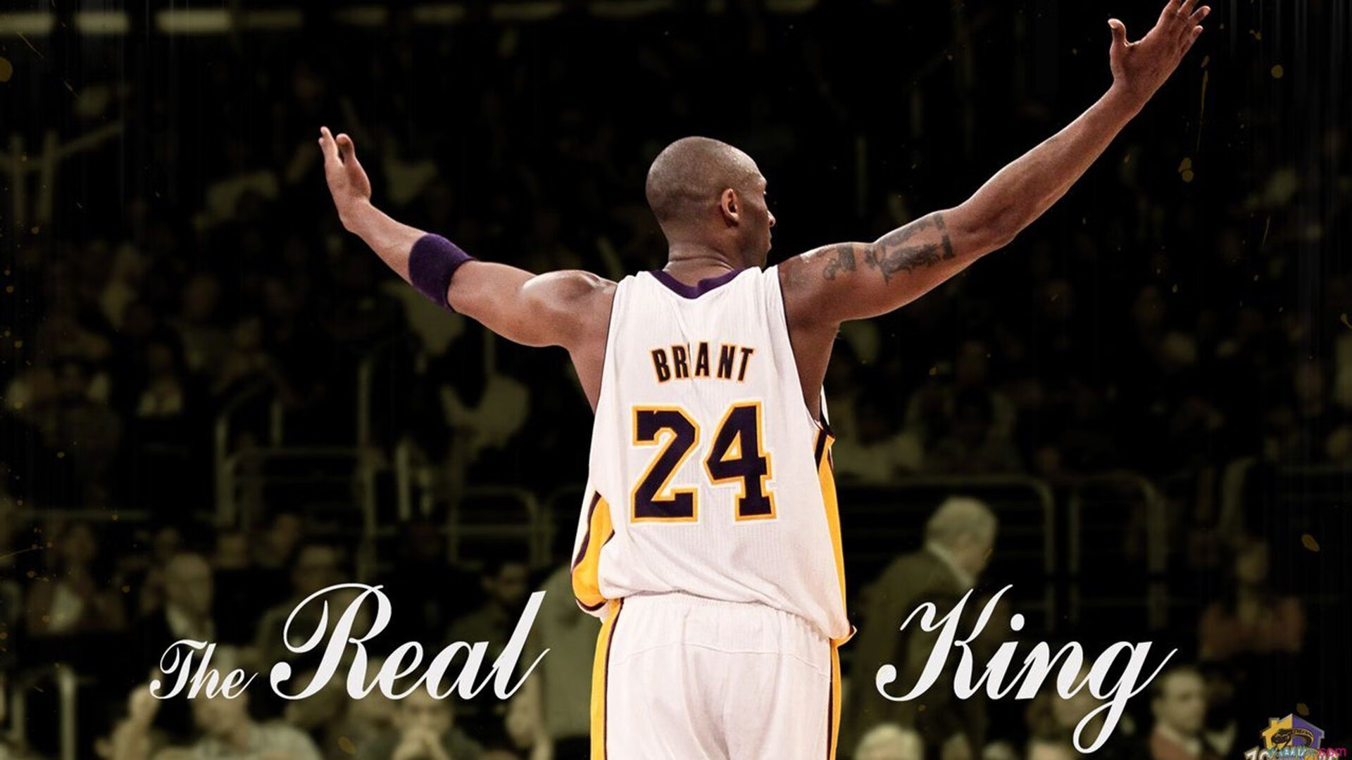 吴艳妮，背负期望的飞人，无需说抱歉